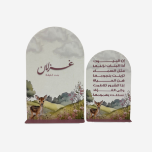 أستقبال مولود